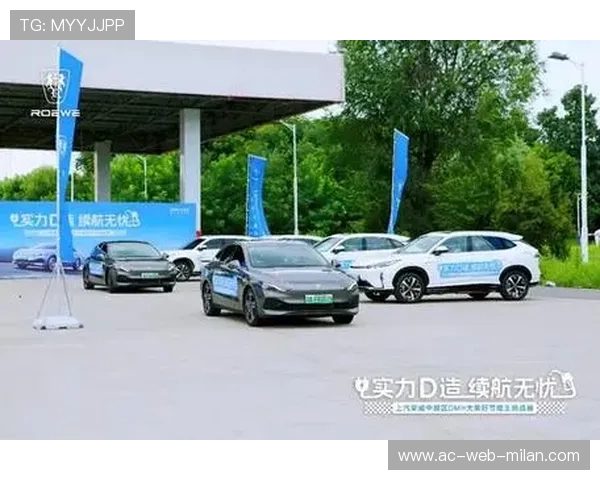 _节能动力雪橇：绿色出行开启新纪元_，雪橇的动力